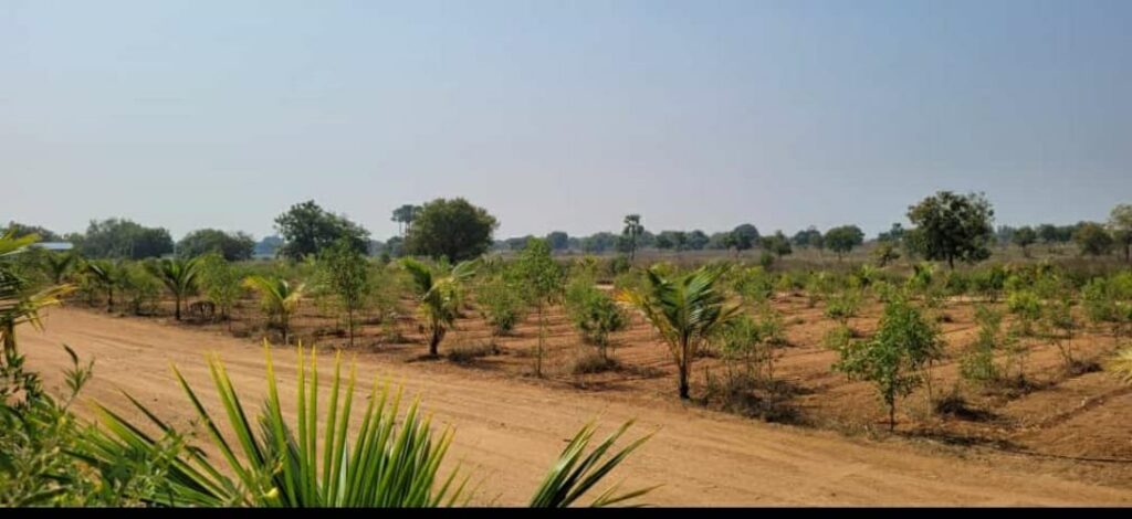 Subhapradam Projects farm land